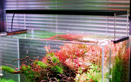 Lampara WRGB 2 PRO 90cms