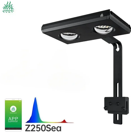 Lampara Z250sea-Z Marino